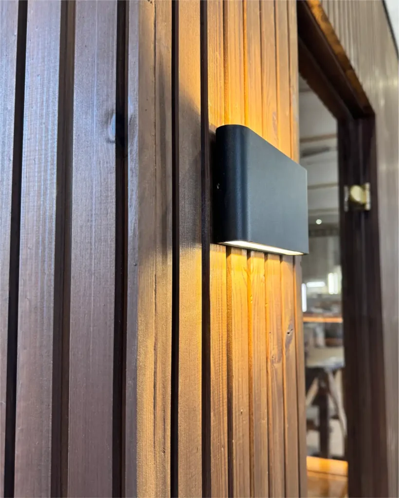 Wall-mounted outdoor LED light